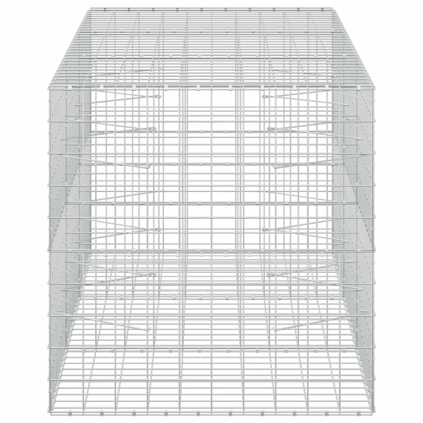 vidaXL Γκαμπιόν με σύρμα 5 mm και πλέγμα 10x10 cm 300x100x100 εκ.