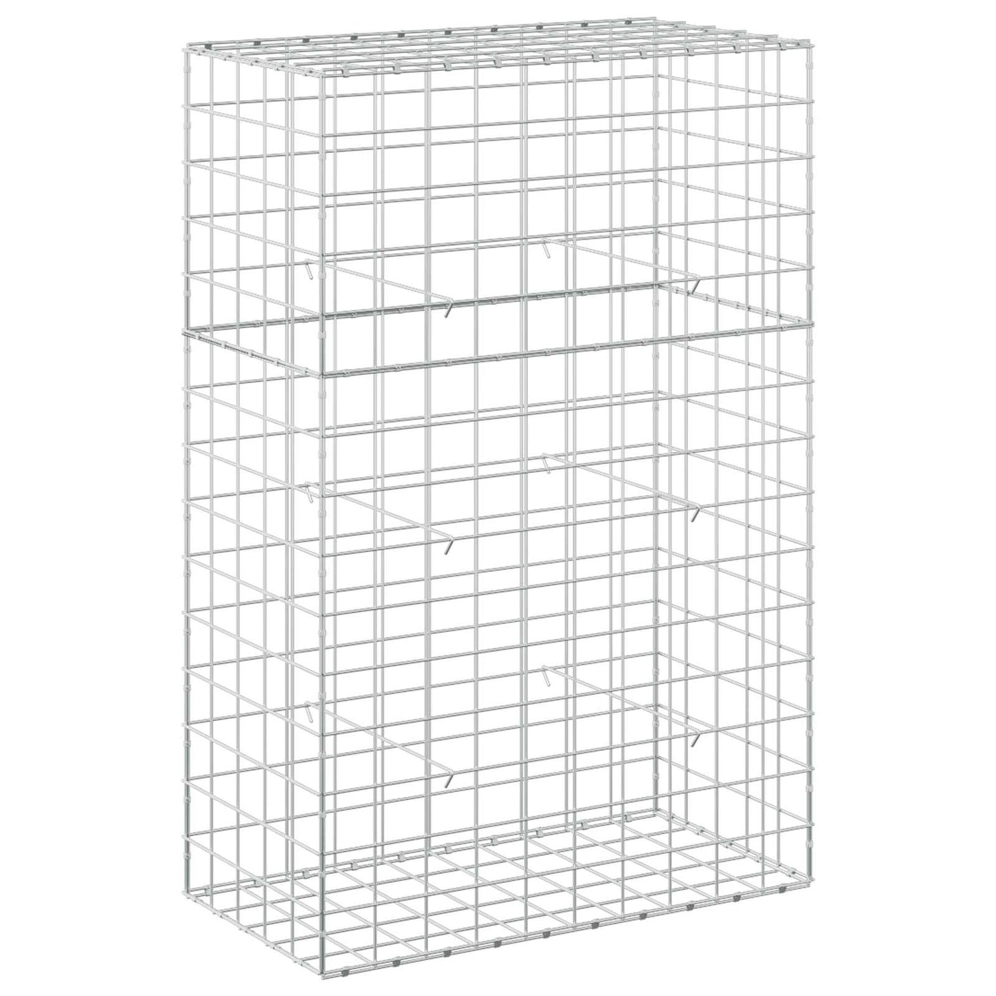vidaXL Γκαμπιόν με σύρμα 5 mm και πλέγμα 10x10 cm 50x100x150 εκ.