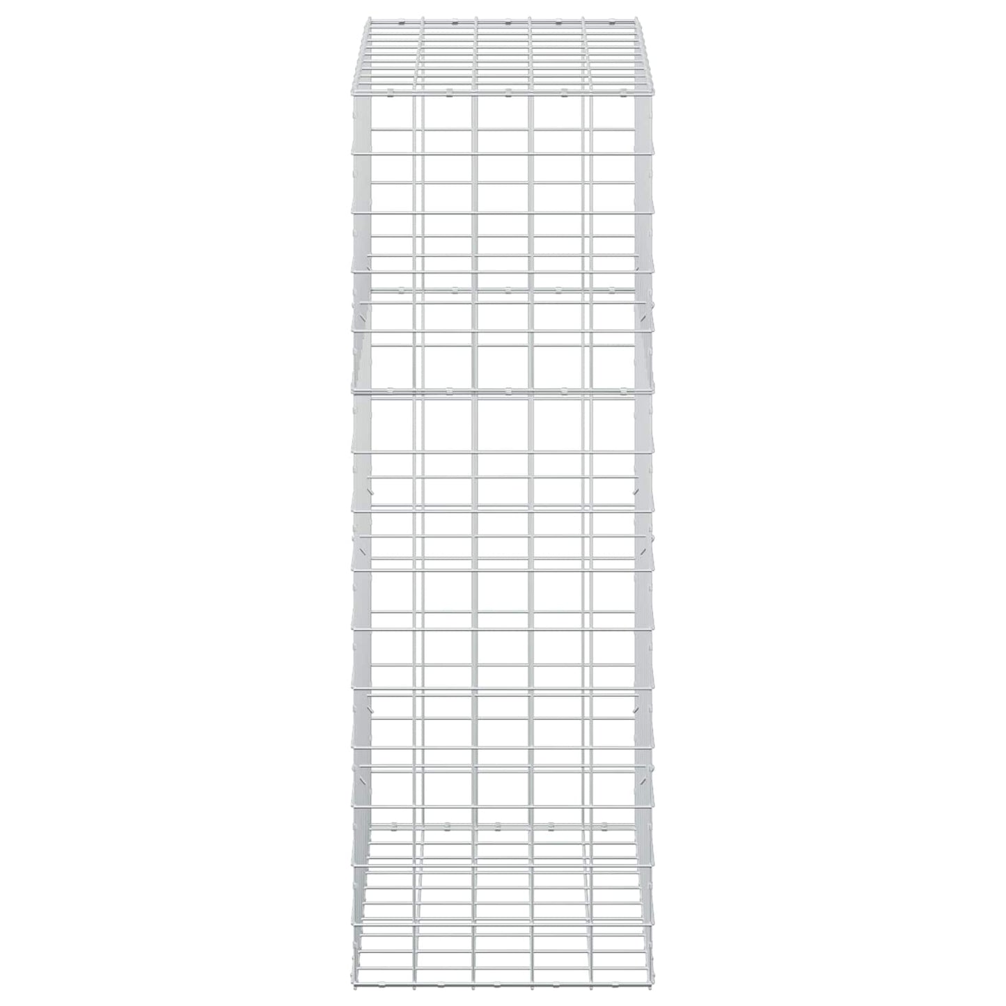 vidaXL Γκαμπιόν με σύρμα 5 mm και πλέγμα 10x10 cm 50x100x150 εκ.