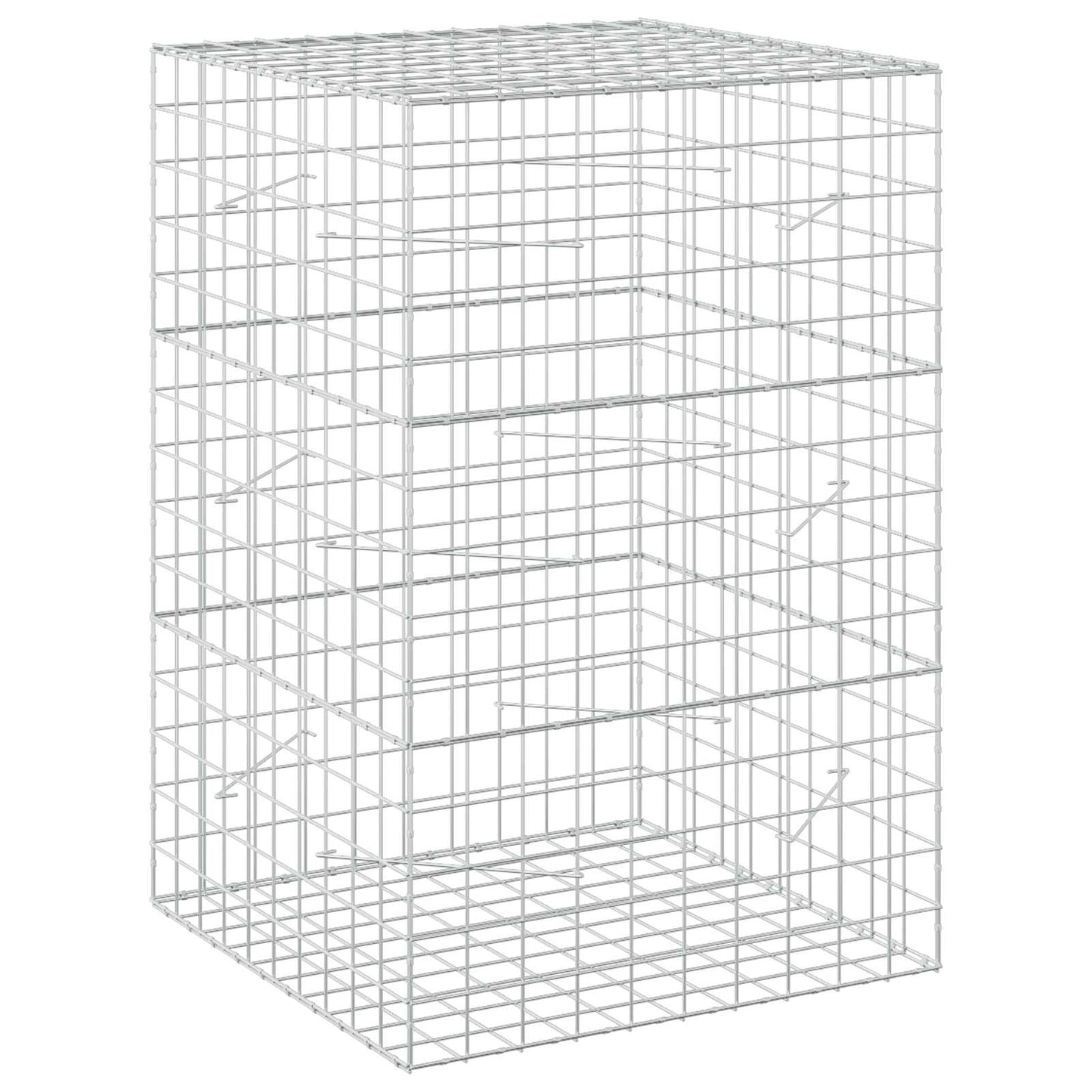 vidaXL Γκαμπιόν με σύρμα 5 mm και πλέγμα 10x10 cm 100x100x150 εκ