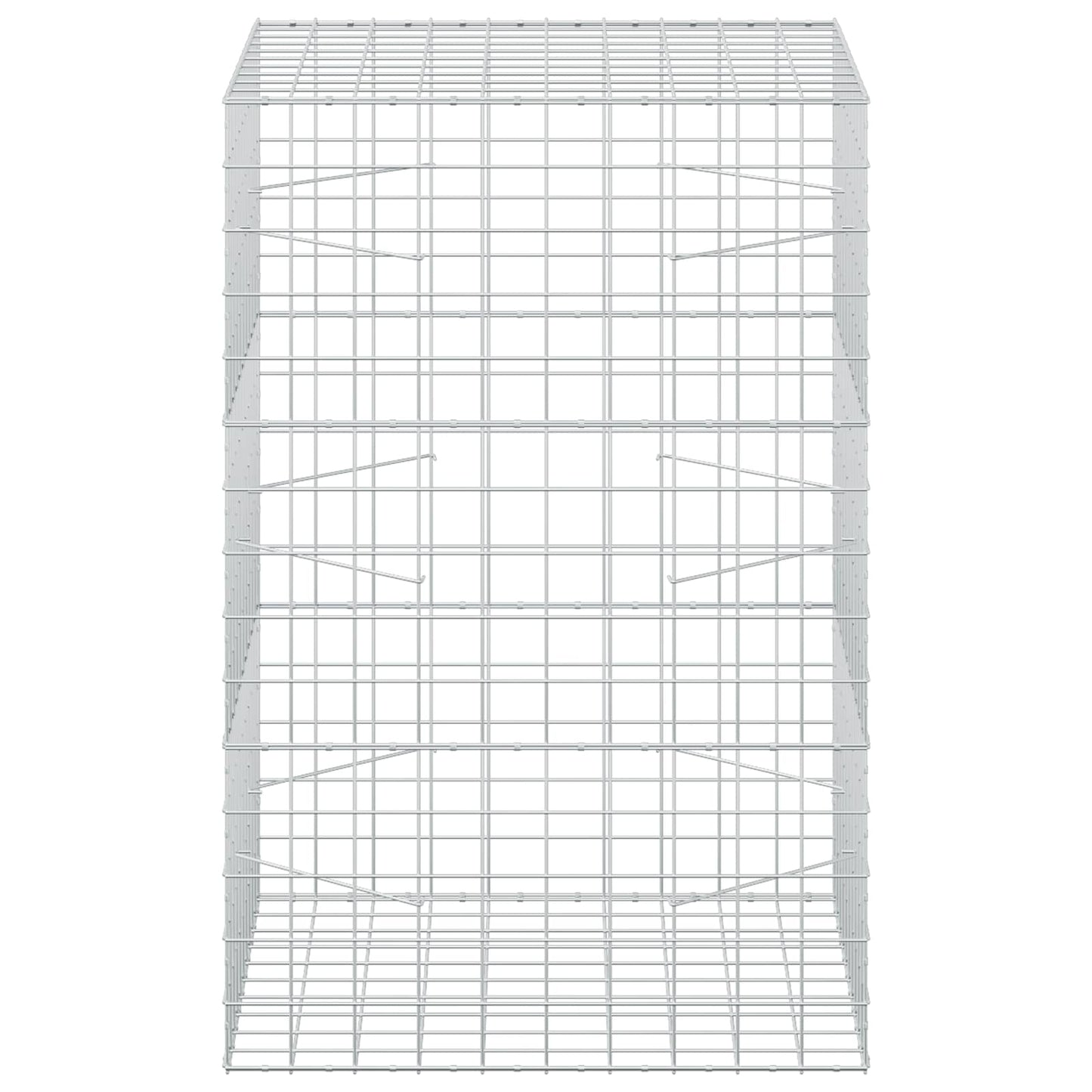 vidaXL Γκαμπιόν με σύρμα 5 mm και πλέγμα 10x10 cm 100x100x150 εκ