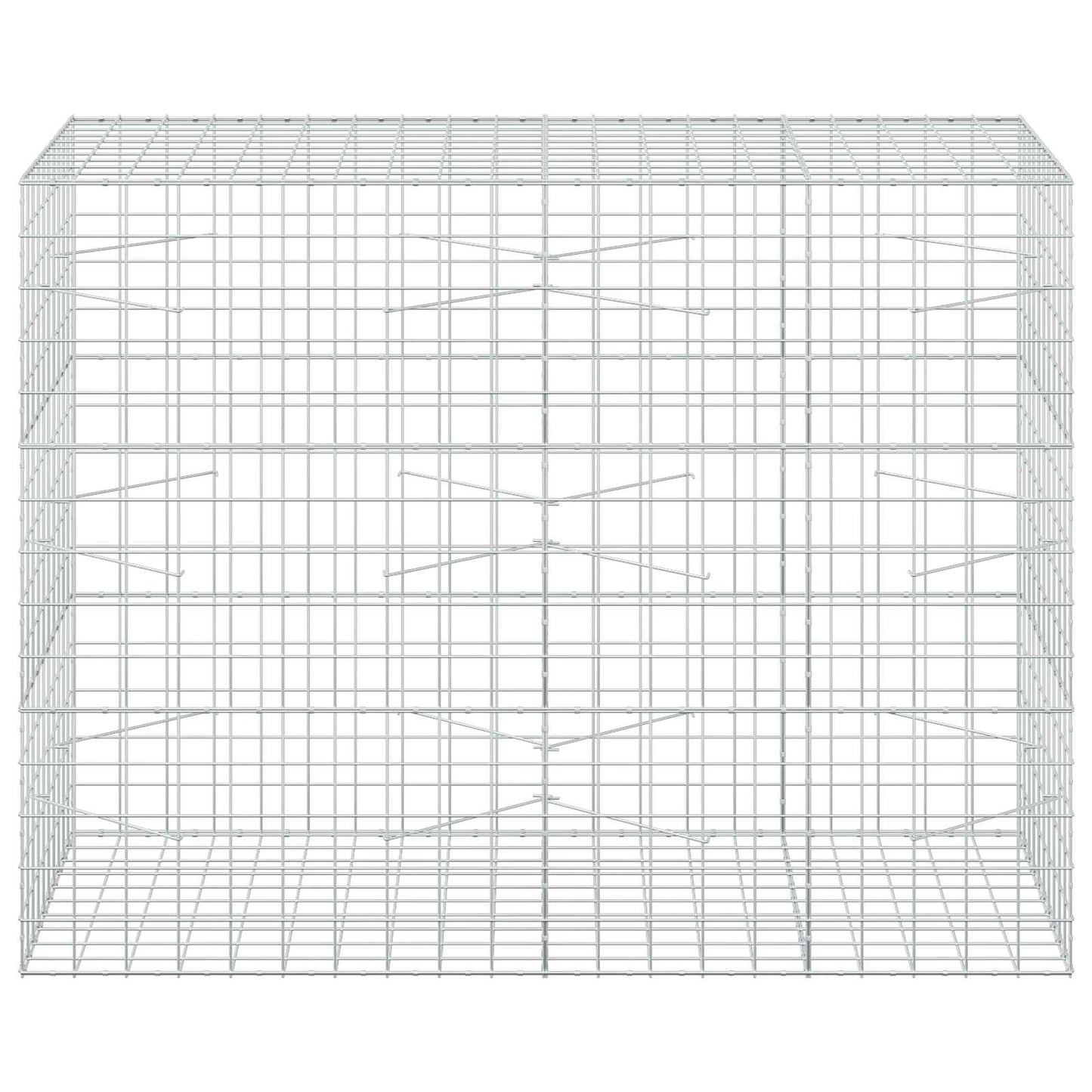 vidaXL Γκαμπιόν με σύρμα 5 mm και πλέγμα 10x10 cm 200x100x150 εκ.