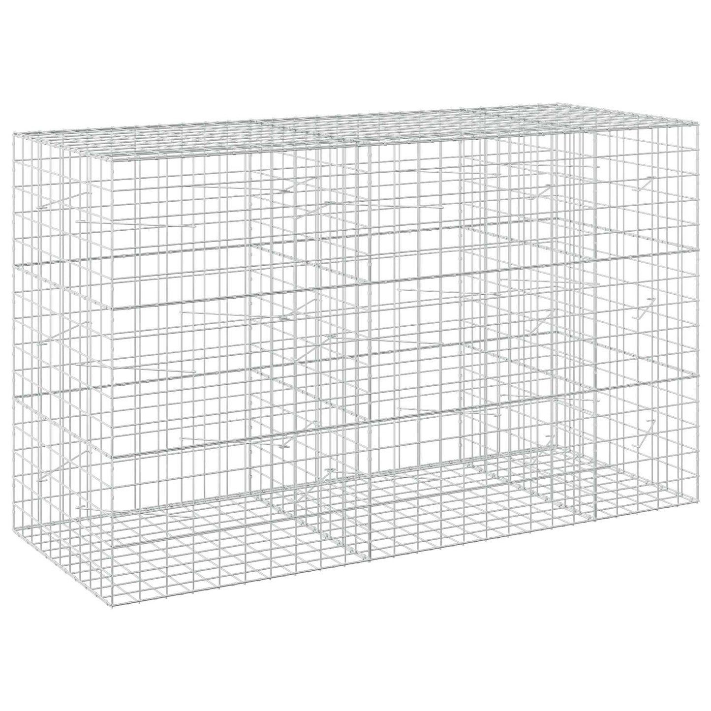 vidaXL Γκαμπιόν με σύρμα 5 mm και πλέγμα 10x10 cm 250x100x150 εκ.
