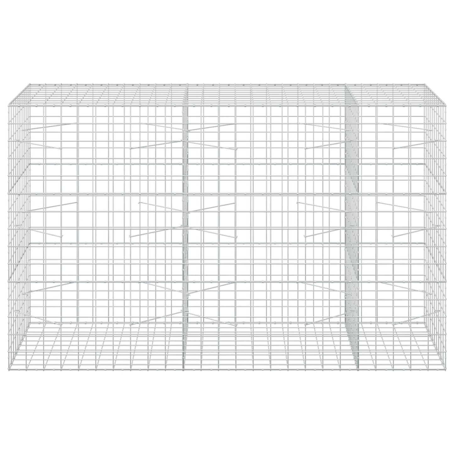 vidaXL Γκαμπιόν με σύρμα 5 mm και πλέγμα 10x10 cm 250x100x150 εκ.