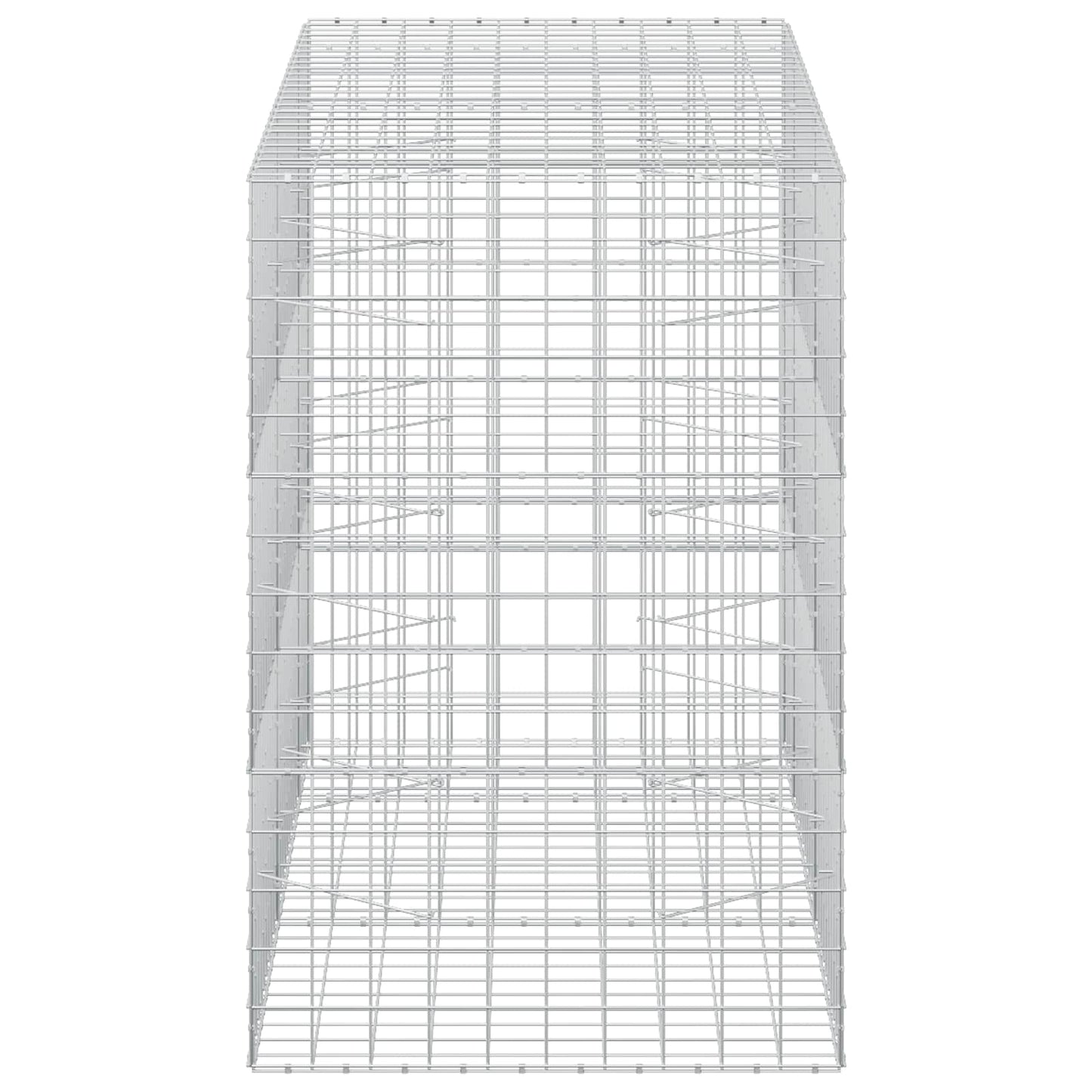 vidaXL Γκαμπιόν με σύρμα 5 mm και πλέγμα 10x10 cm 250x100x150 εκ.