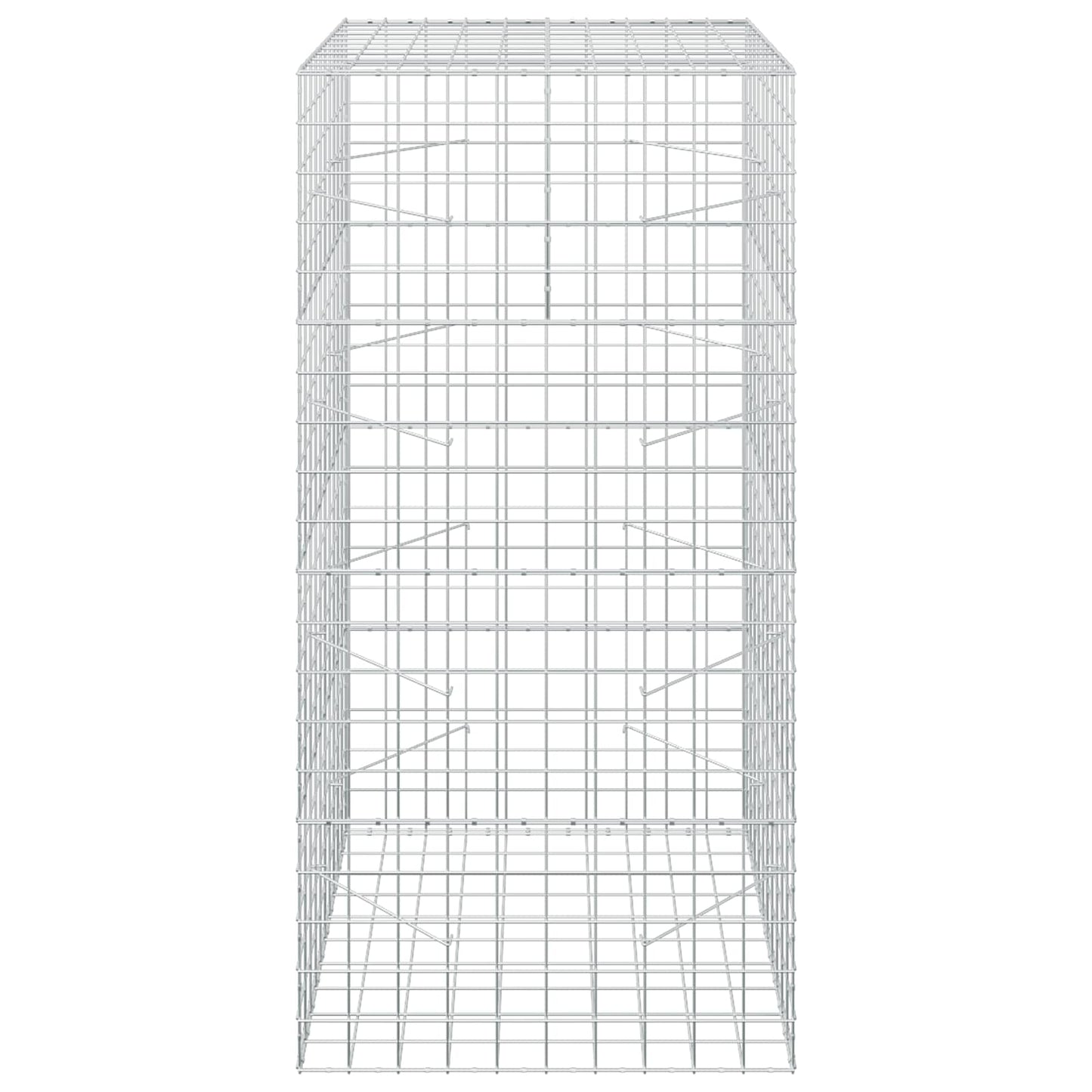vidaXL Γκαμπιόν με σύρμα 5 mm και πλέγμα 10x10 cm 100x100x200 εκ