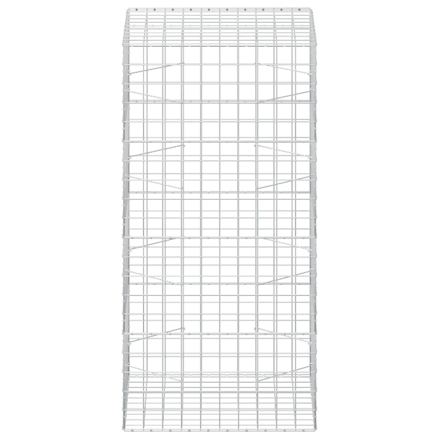 vidaXL Γκαμπιόν με σύρμα 5 mm και πλέγμα 10x10 cm 100x100x200 εκ