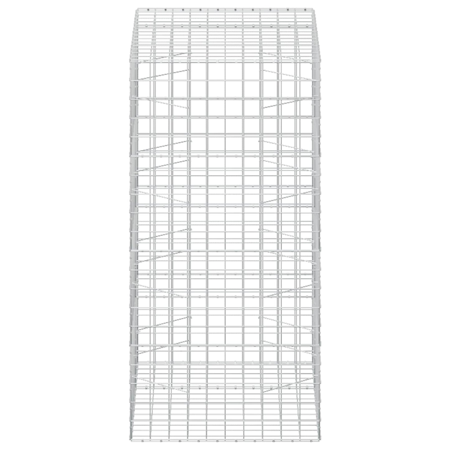 vidaXL Γκαμπιόν με σύρμα 5 mm και πλέγμα 10x10 cm 150x100x200 εκ.