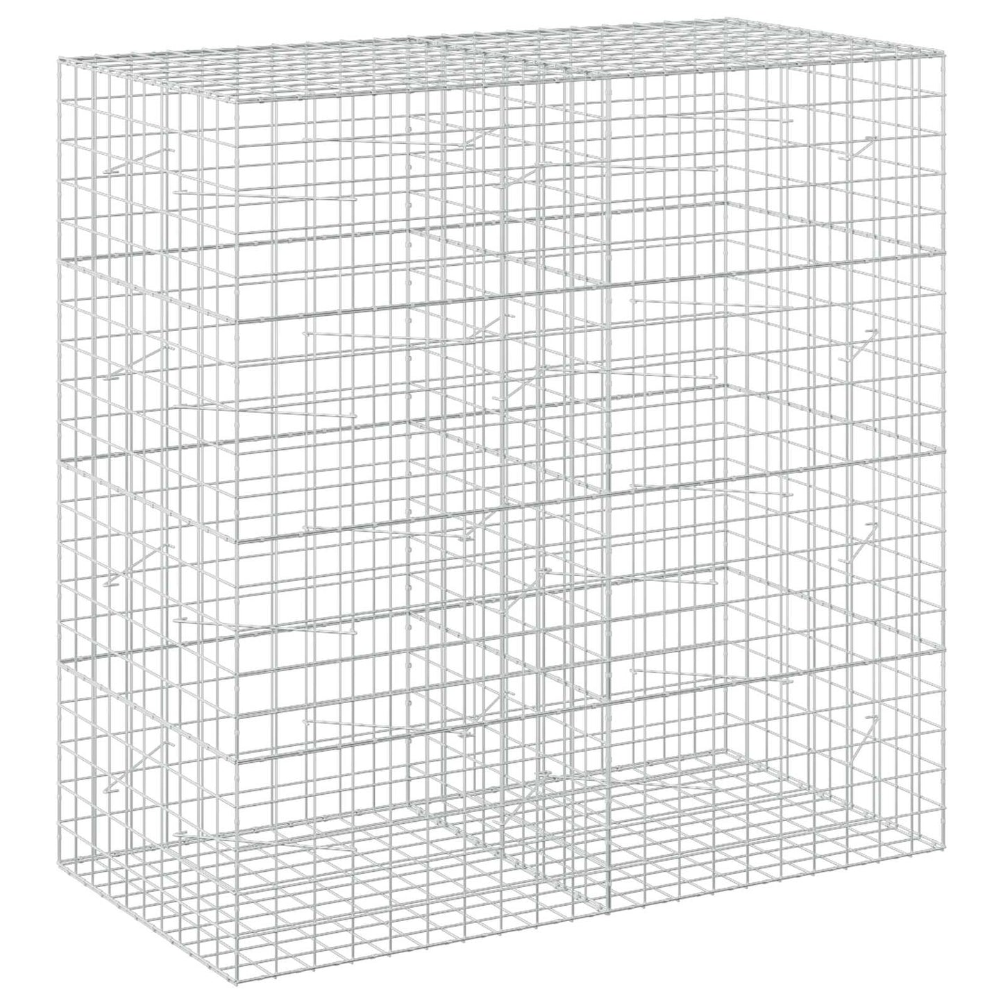 vidaXL Γκαμπιόν με σύρμα 5 mm και πλέγμα 10x10 cm 200x100x200 εκ