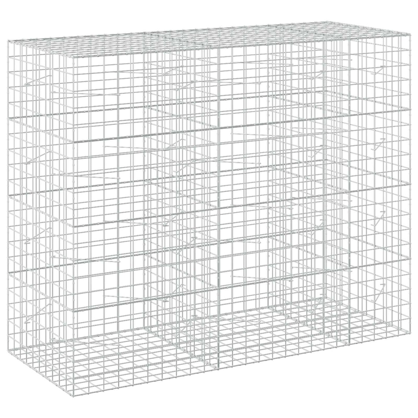 vidaXL Γκαμπιόν με σύρμα 5 mm και πλέγμα 10x10 cm 250x100x200 εκ.