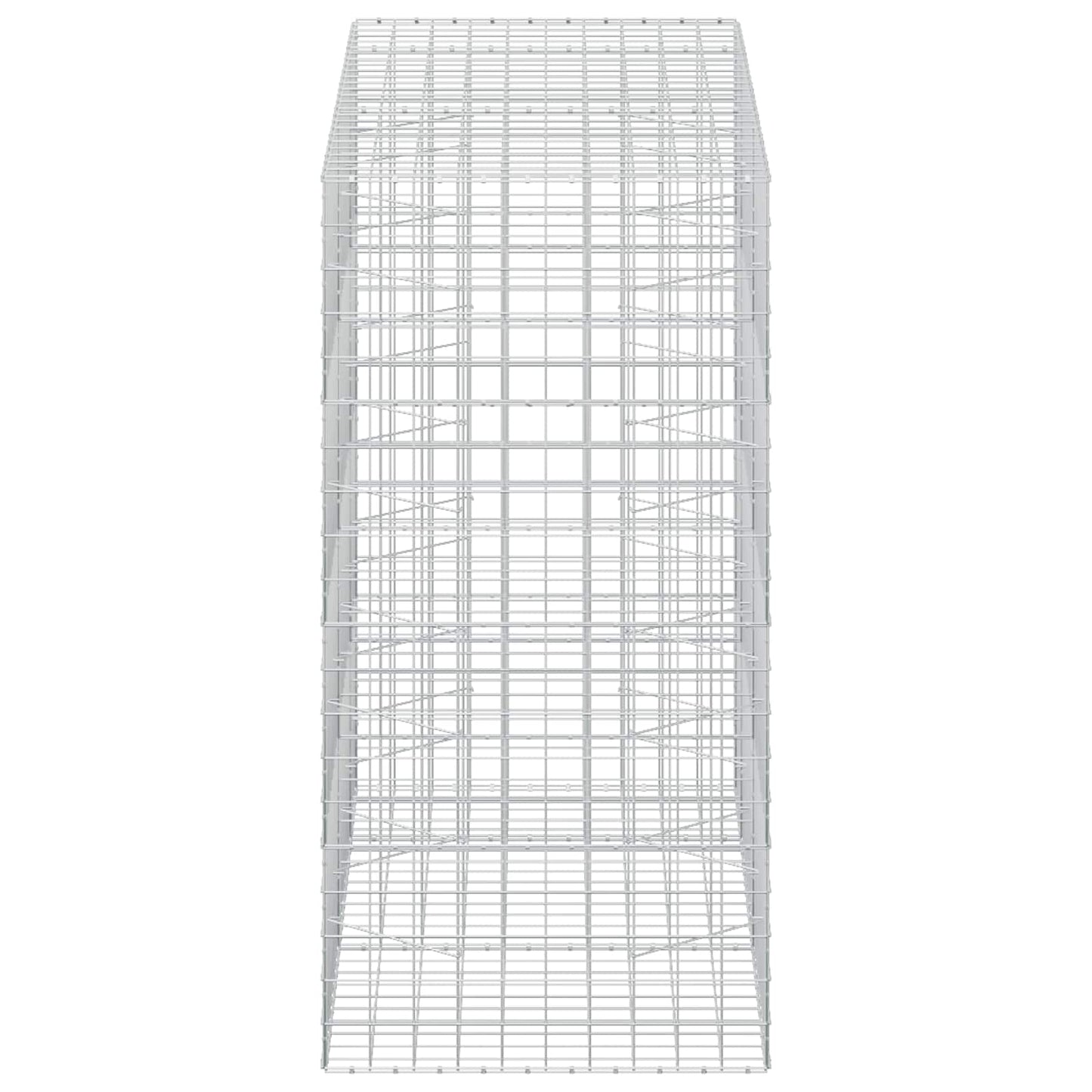 vidaXL Γκαμπιόν με σύρμα 5 mm και πλέγμα 10x10 cm 250x100x200 εκ.