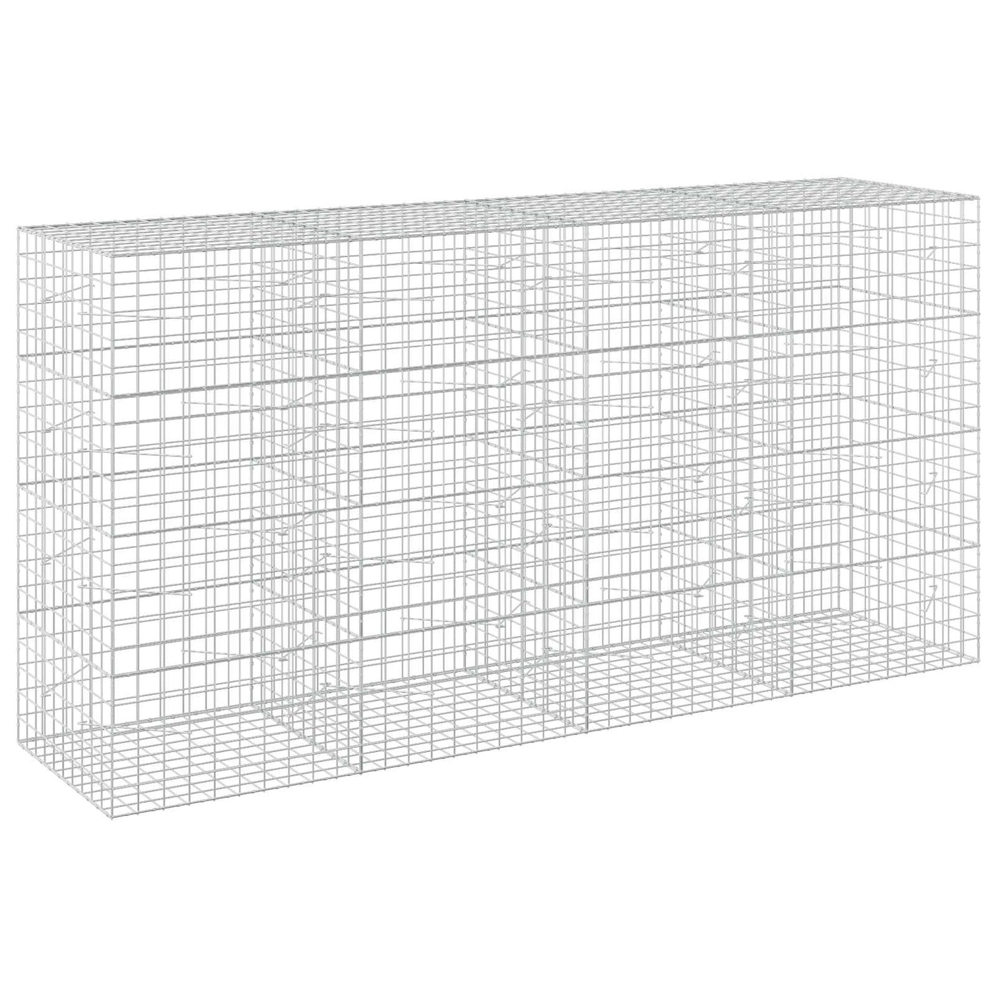 vidaXL Γκαμπιόν με σύρμα 5 mm και πλέγμα 10x10 cm 400x100x200 εκ