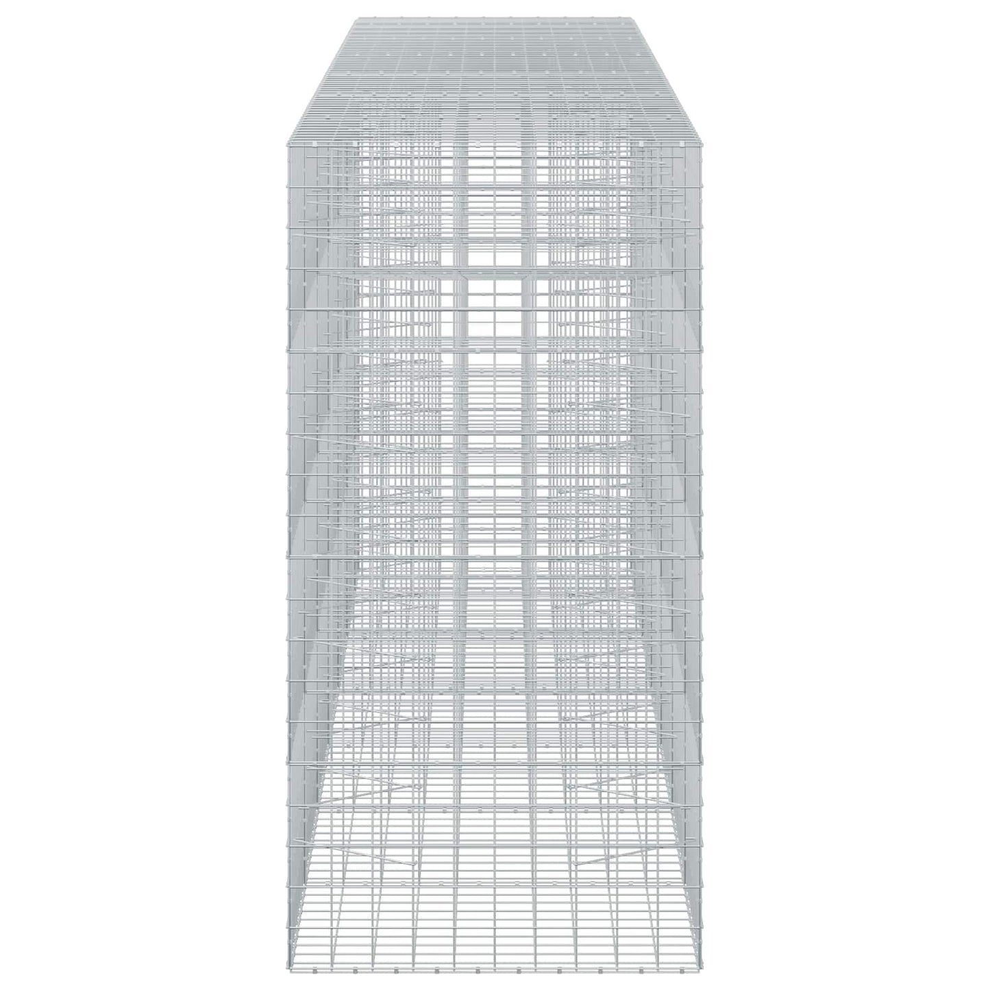 vidaXL Γκαμπιόν με σύρμα 5 mm και πλέγμα 10x10 cm 650x100x200 εκ