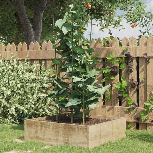 vidaXL Garden Plant Supports 3 Rings 5 ​​pcs. Green 75 cm Steel